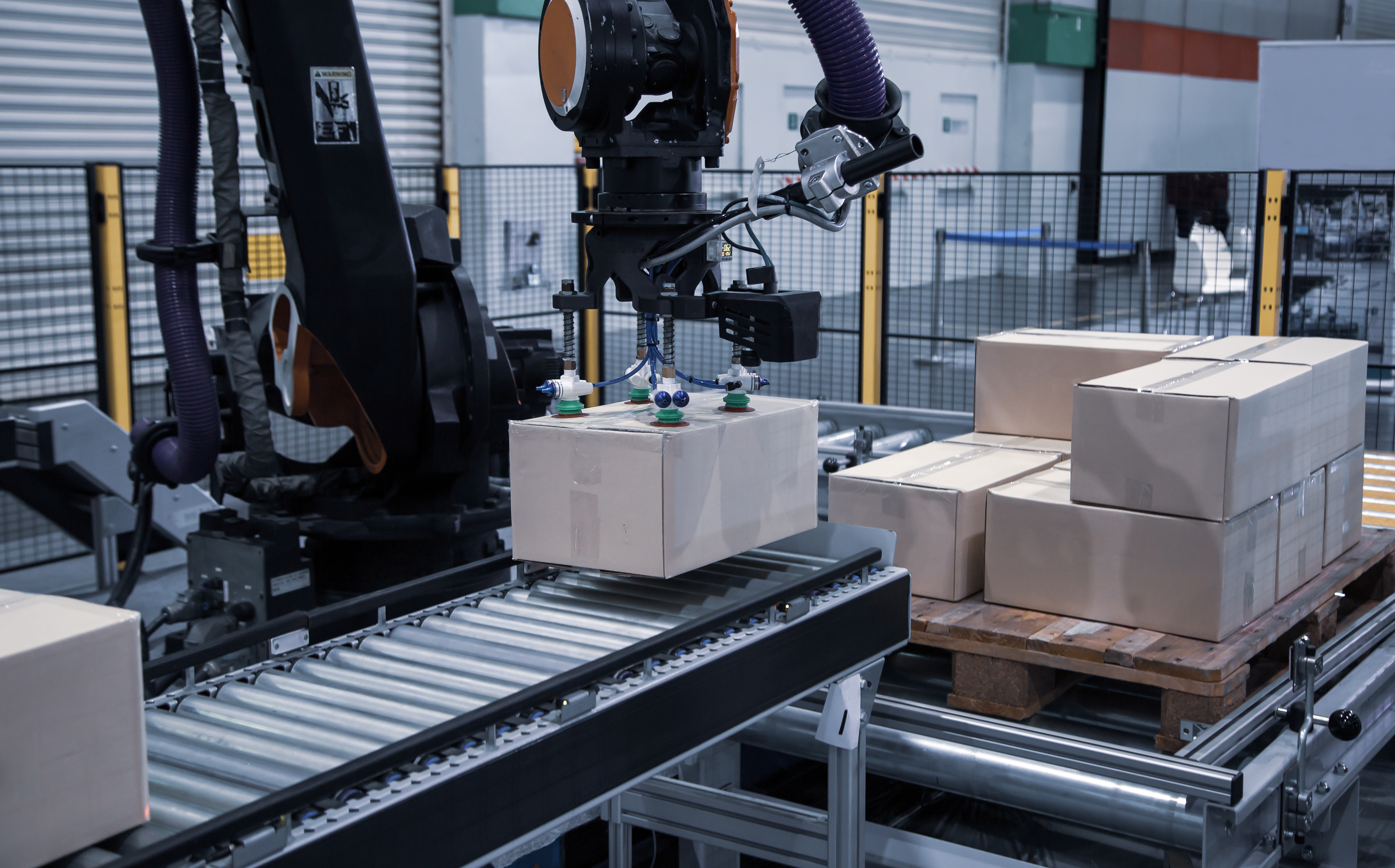 robotic palletizing .jpeg